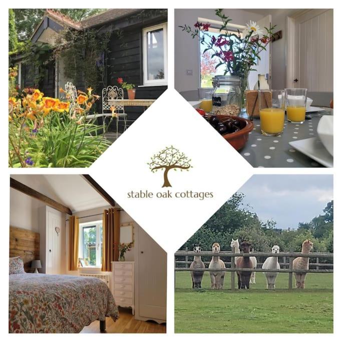 Willow Cottage In Idyllic Location Harrietsham Экстерьер фото